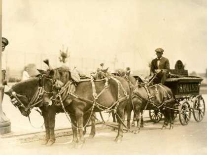 Horse-drawn Coal